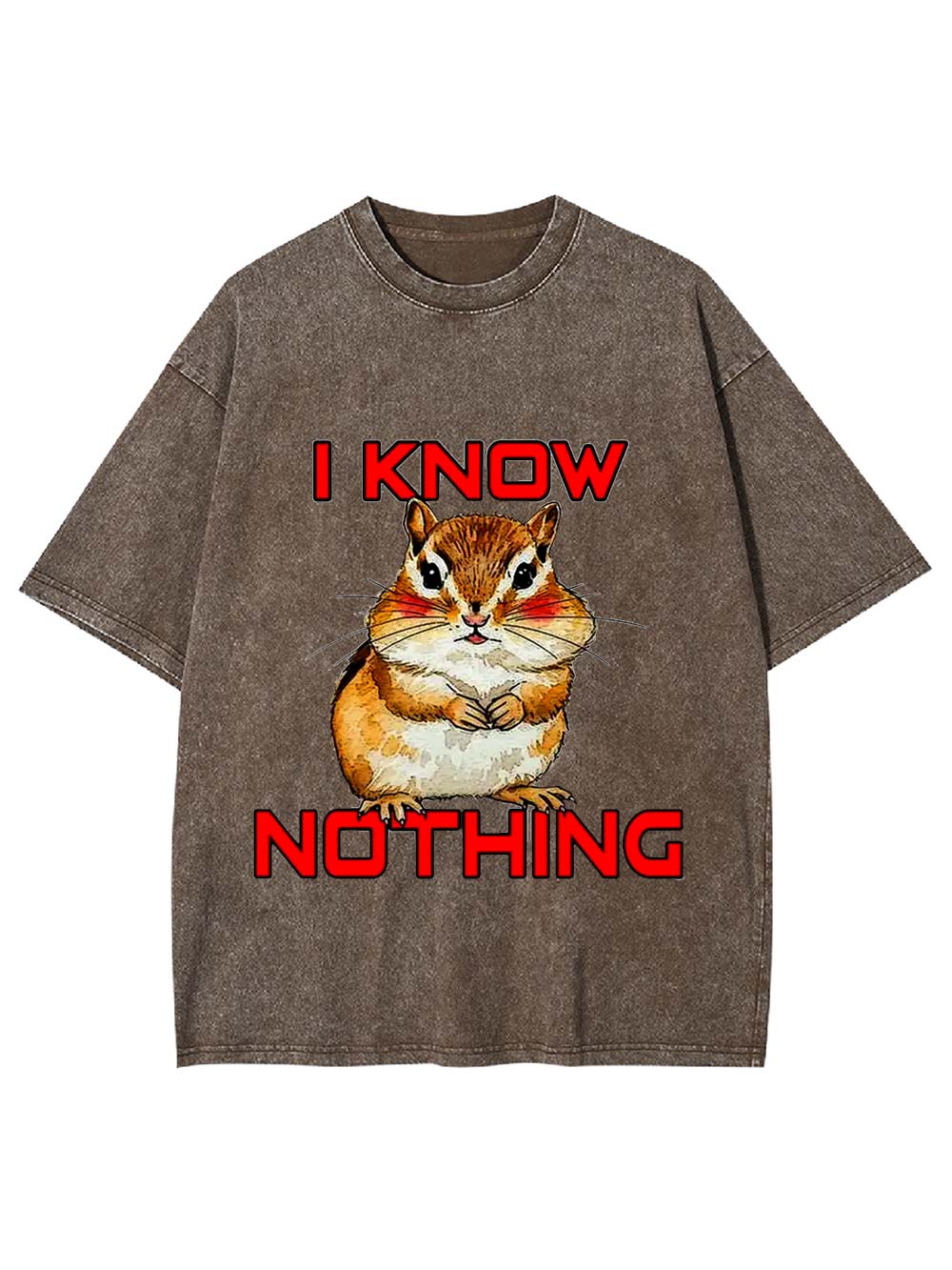 I Know Nothing Washed Tshirt
