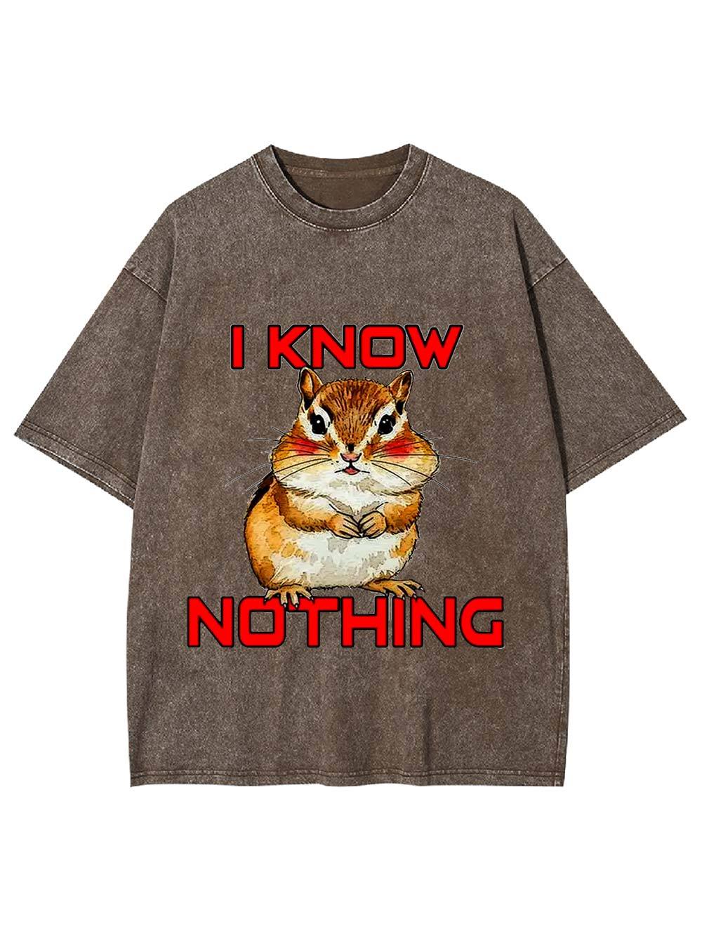 I Know Nothing Washed Tshirt
