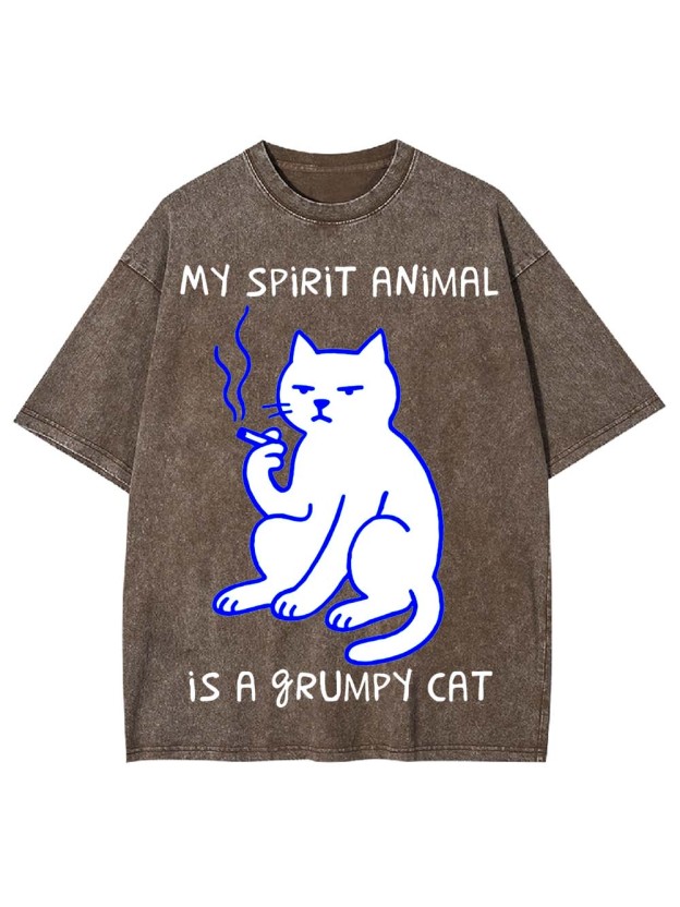 My Spirit Animal Is A Grumpy Cat Washed Tshirt