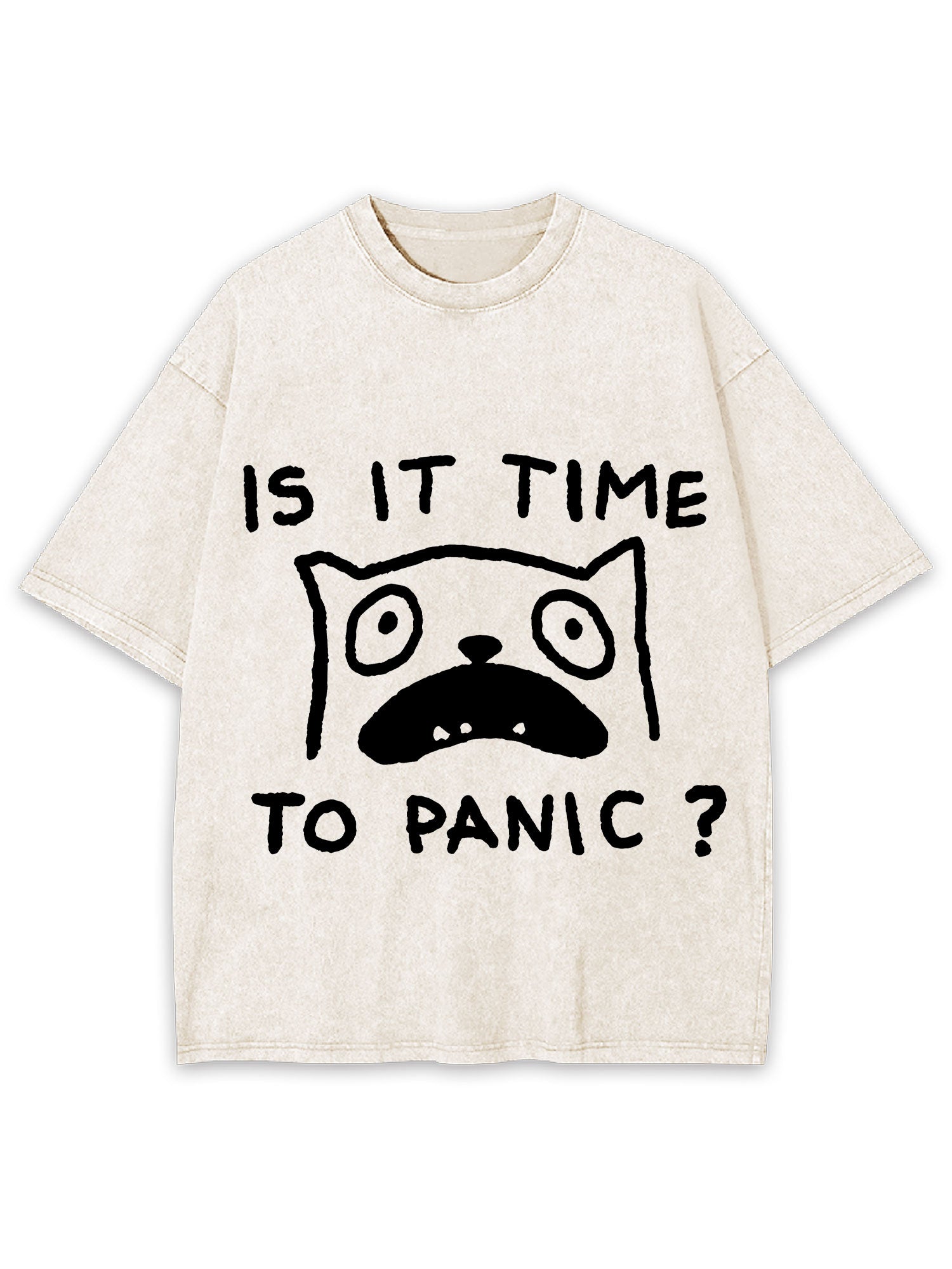 Is It Time To Panic Washed Tshirt
