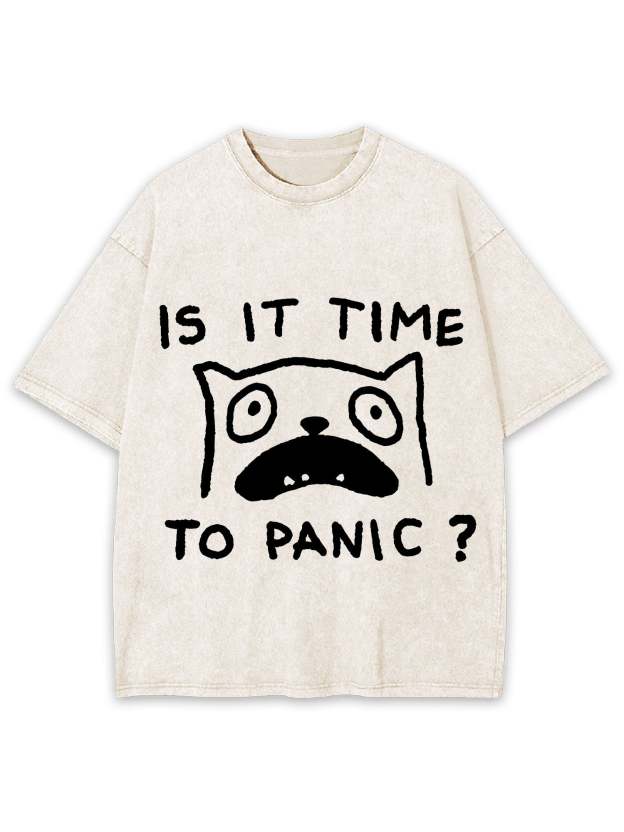 Is It Time To Panic Washed Tshirt