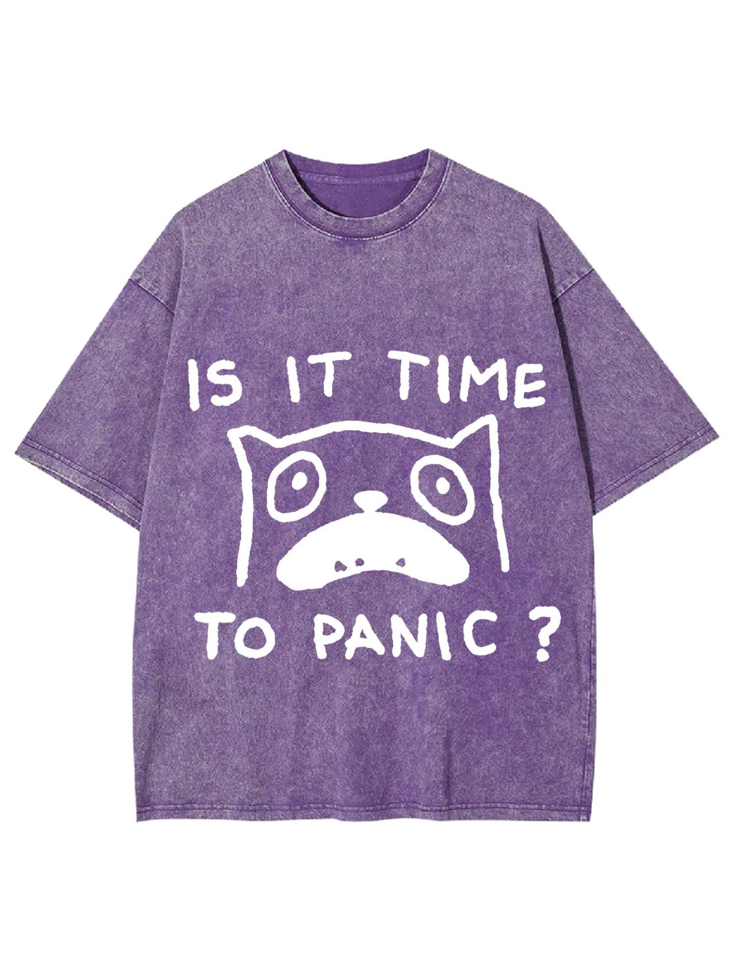 Is It Time To Panic Washed Tshirt