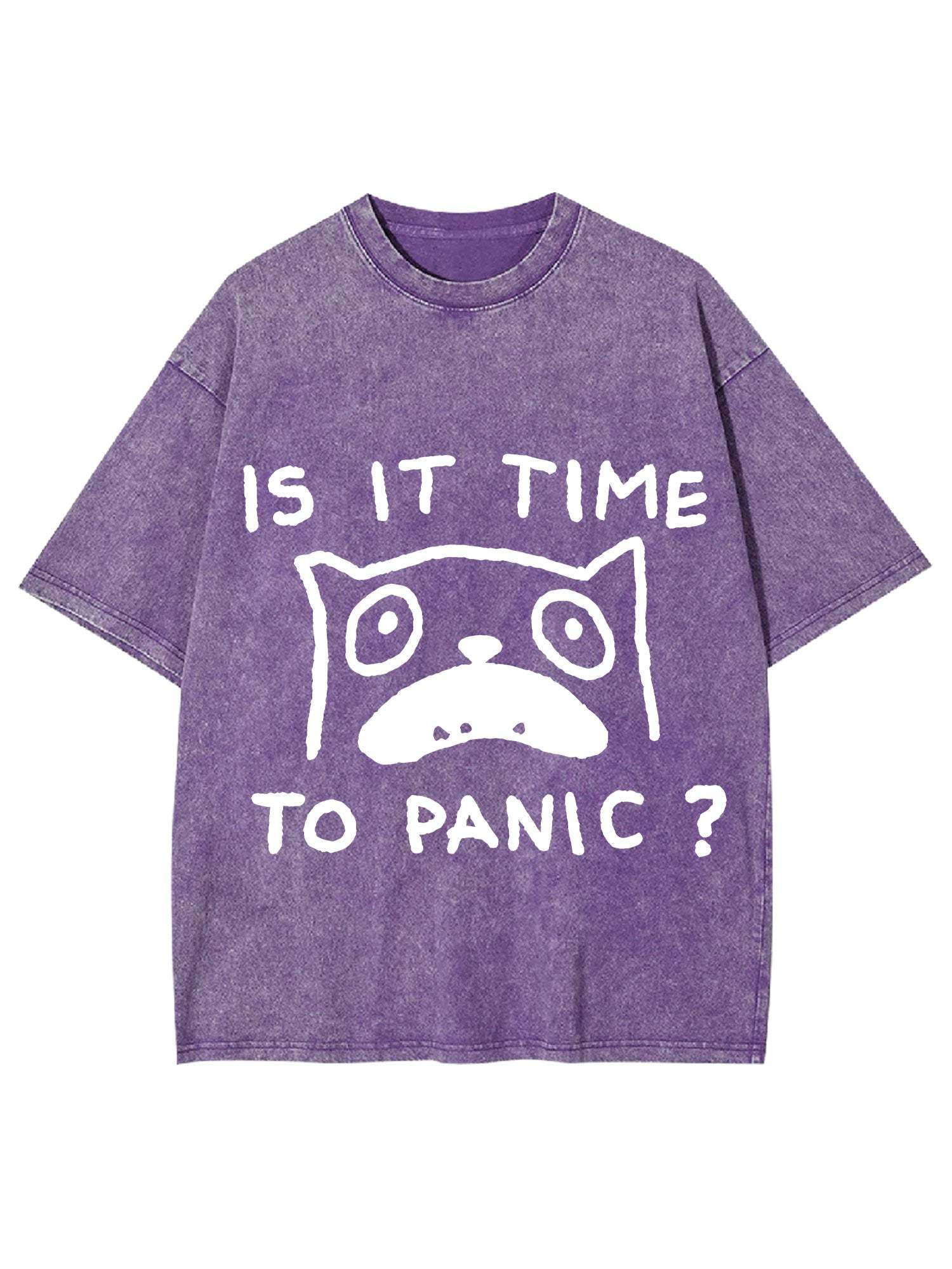 Is It Time To Panic Washed Tshirt