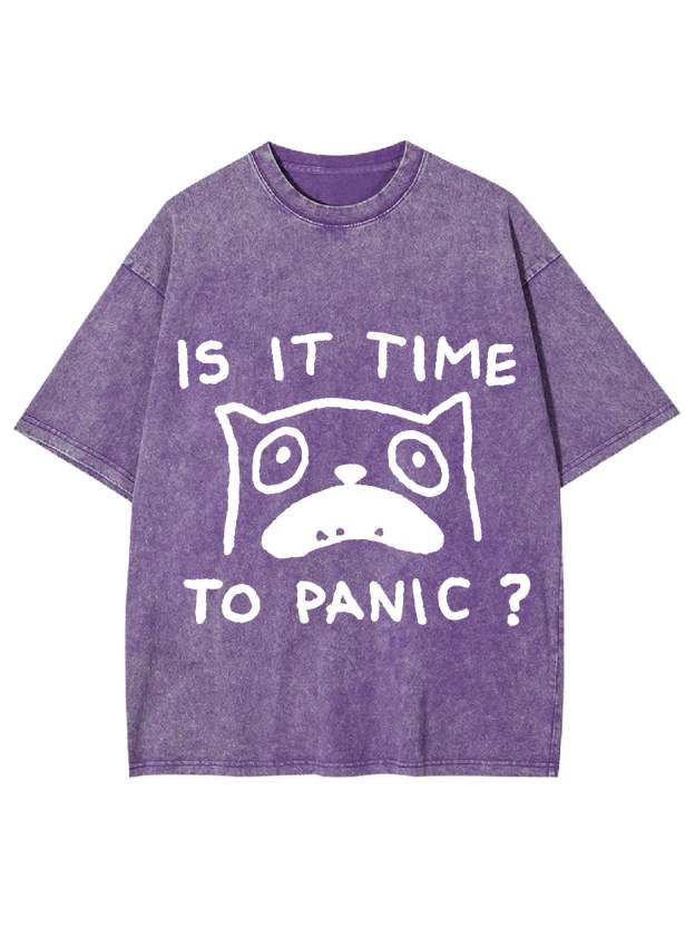 Is It Time To Panic Washed Tshirt