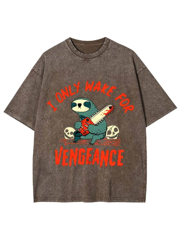 I Only Wake For Vengeance Washed Tshirt