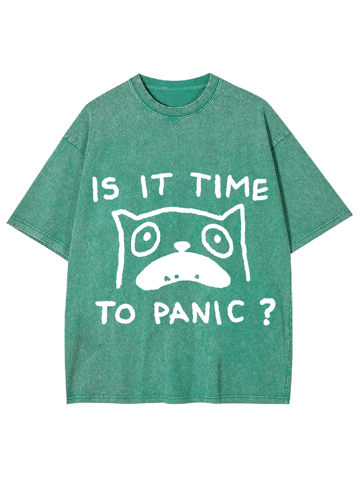 Is It Time To Panic Washed Tshirt