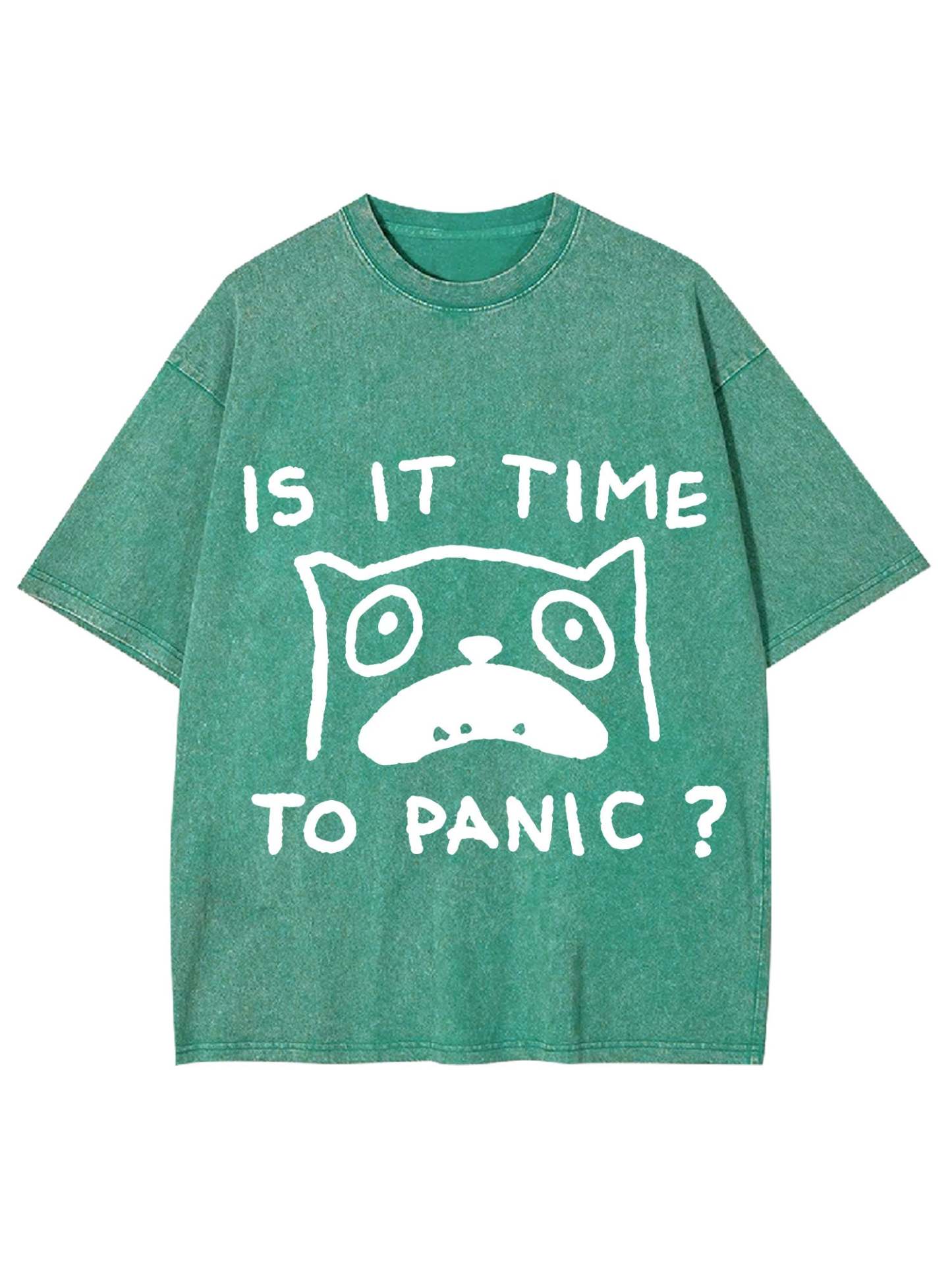 Is It Time To Panic Washed Tshirt