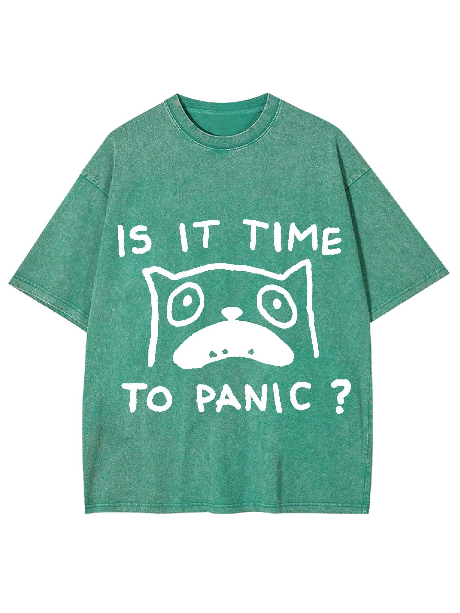 Is It Time To Panic Washed Tshirt
