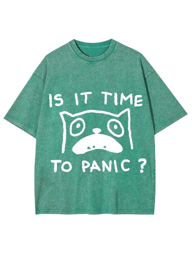 Is It Time To Panic Washed Tshirt