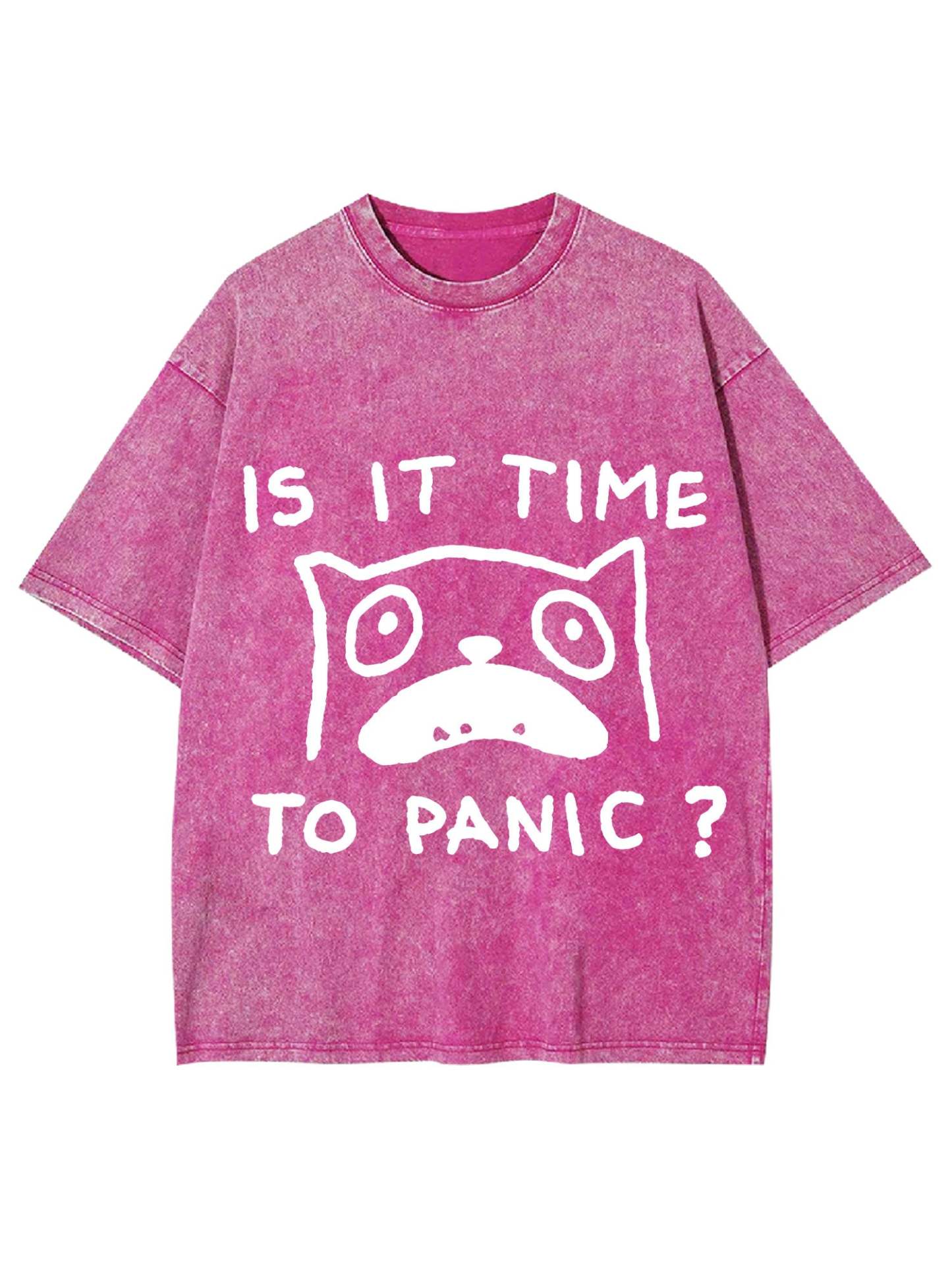 Is It Time To Panic Washed Tshirt