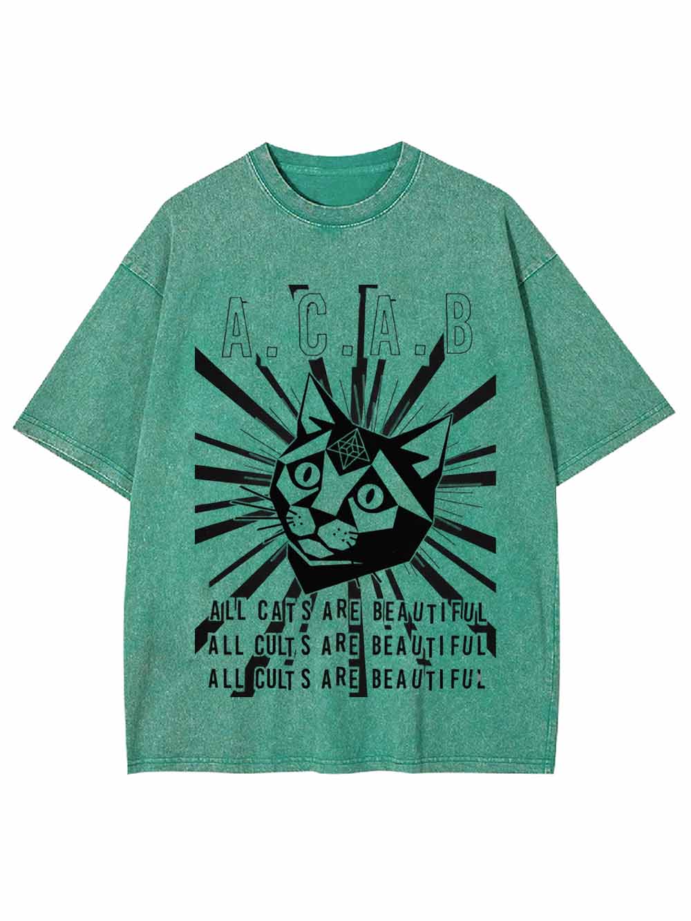 All Cats Are Beautiful Washed Tshirt