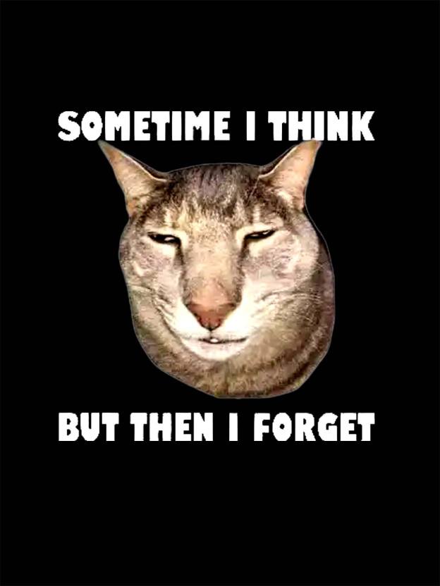 Sometime I Think   But Then I Forget  Washed Tshirt