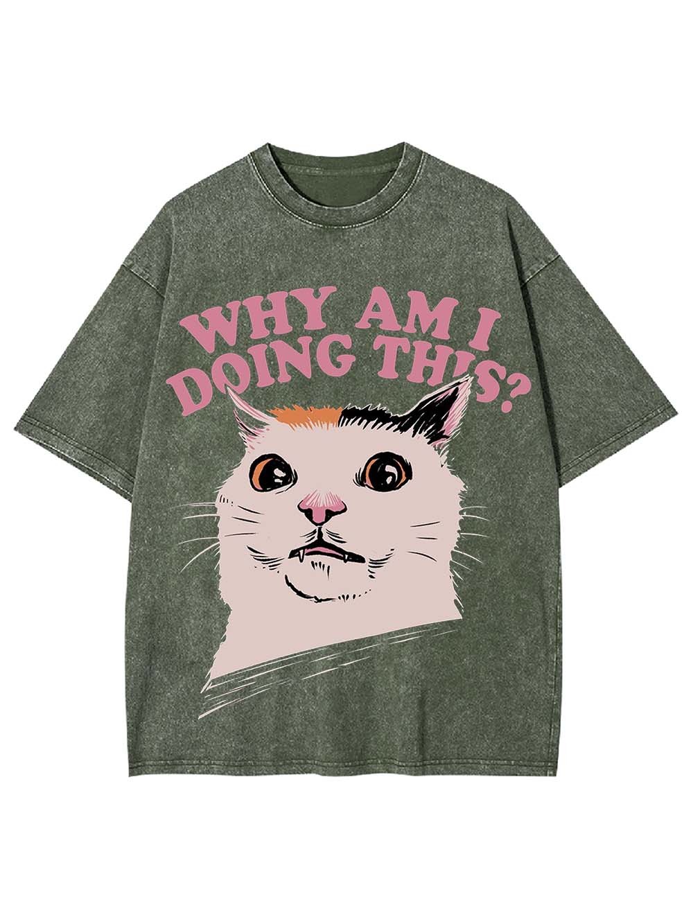 Why Am I Doing This? Washed Tshirt