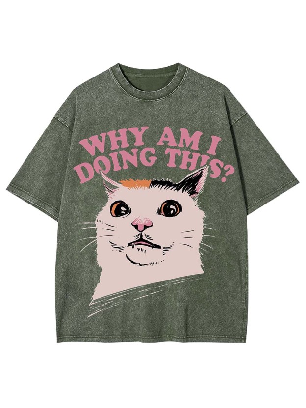Why Am I Doing This? Washed Tshirt