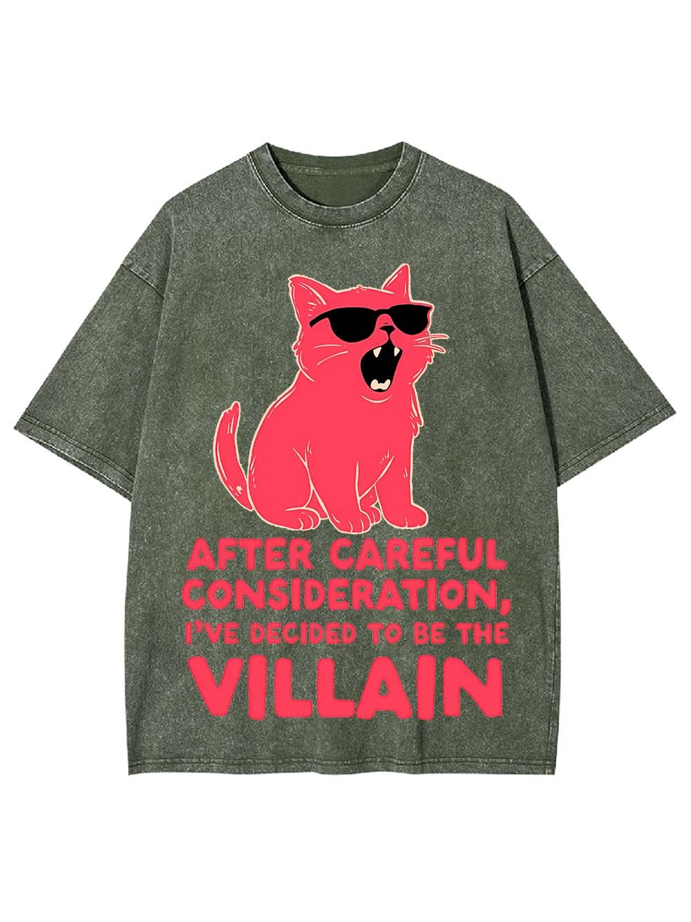 Decided to Be the Villain Washed Tshirt