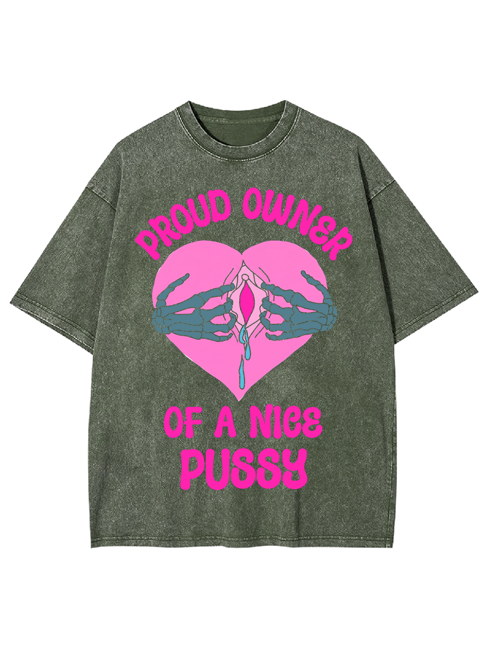 PROUD OWNER OF A NICE PUSSY WASHED TSHIRT