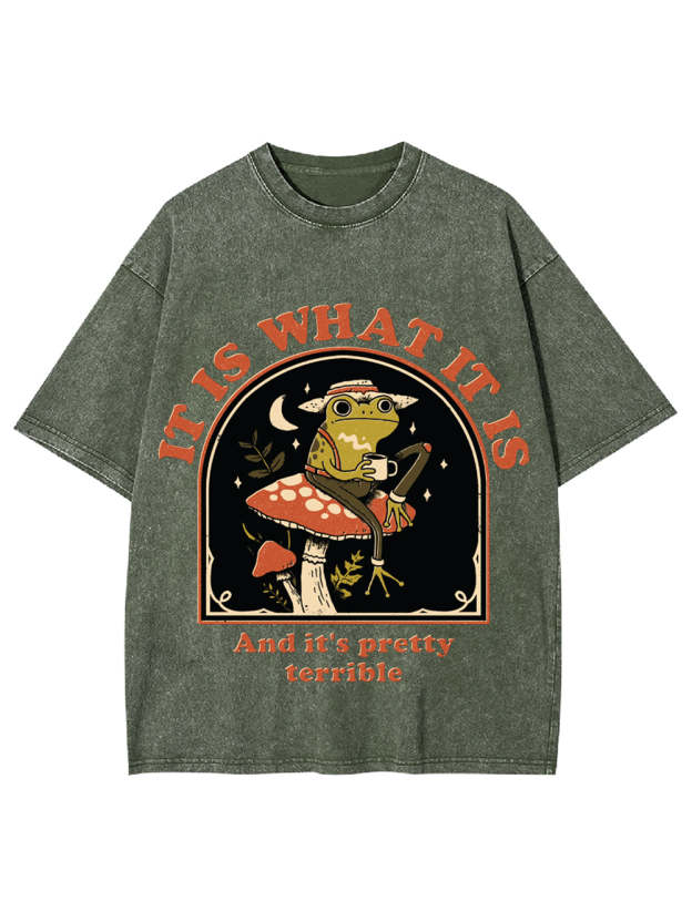 It Is What It Is Washed Tshirt