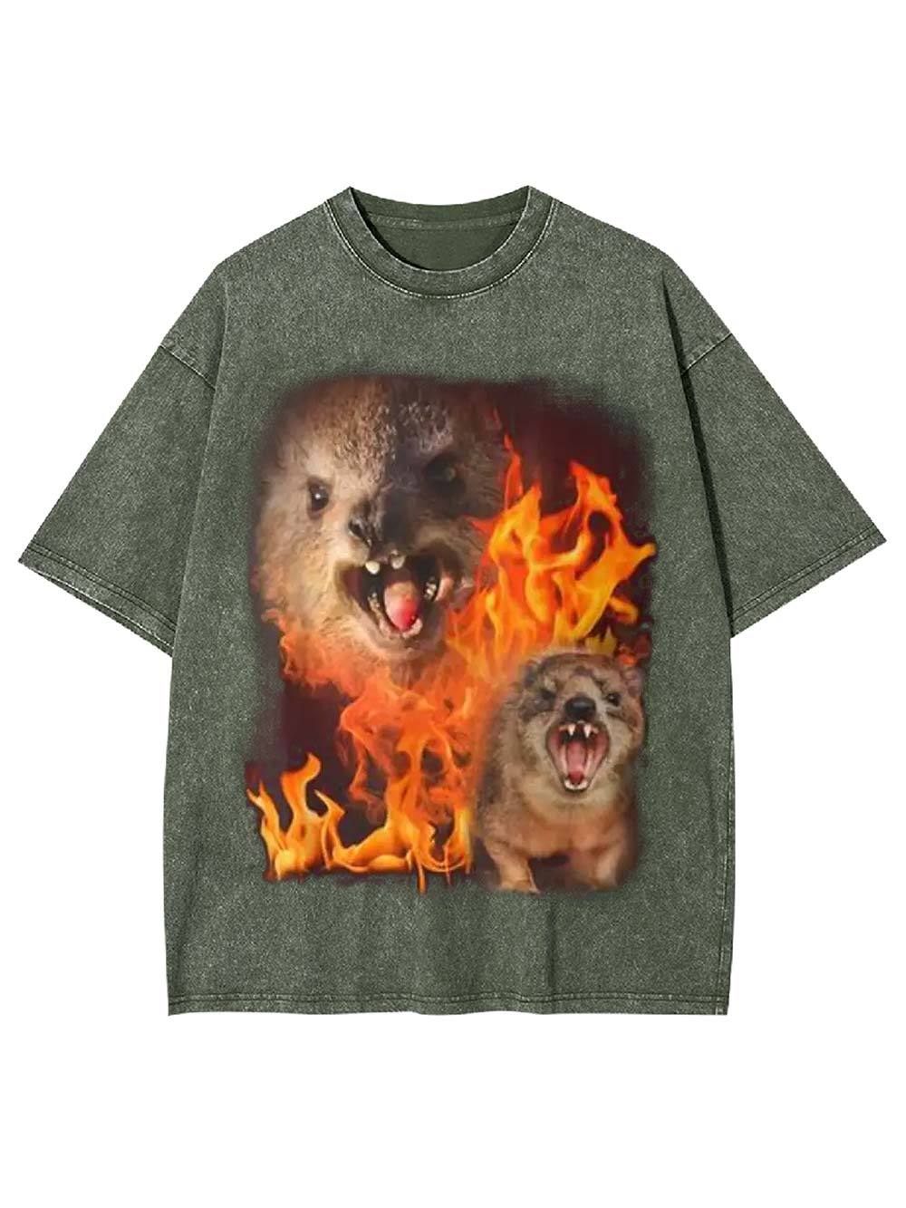 Fury in Flames Washed Tshirt