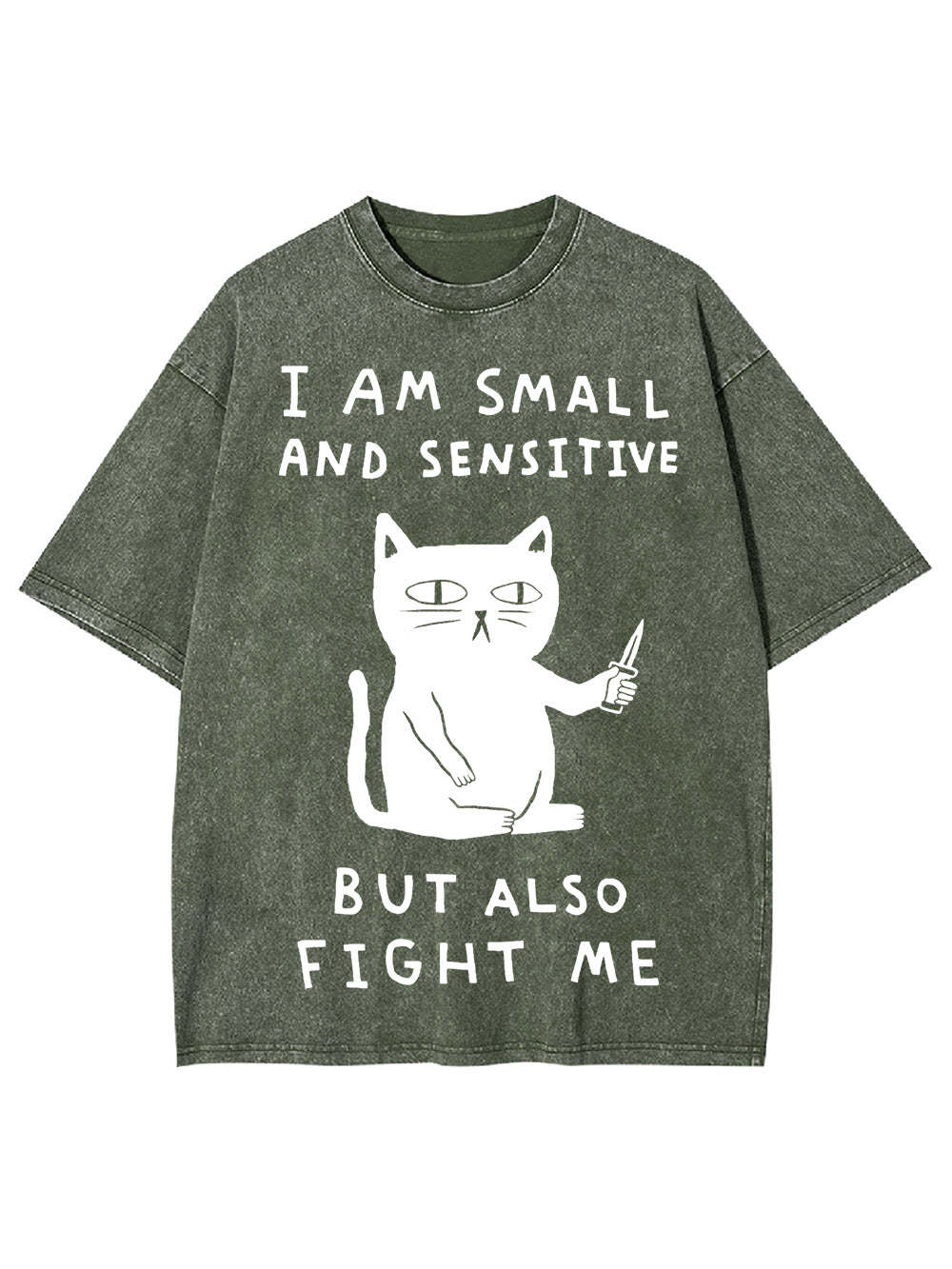 I Am Small And Sensitive But Also Fight Me Washed Tshirt