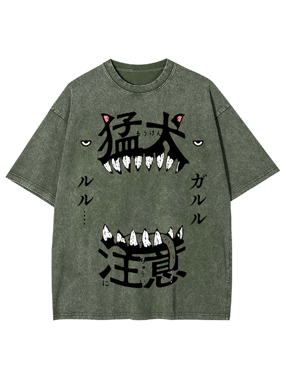 Beware of the Fierce Dog Washed Tshirt