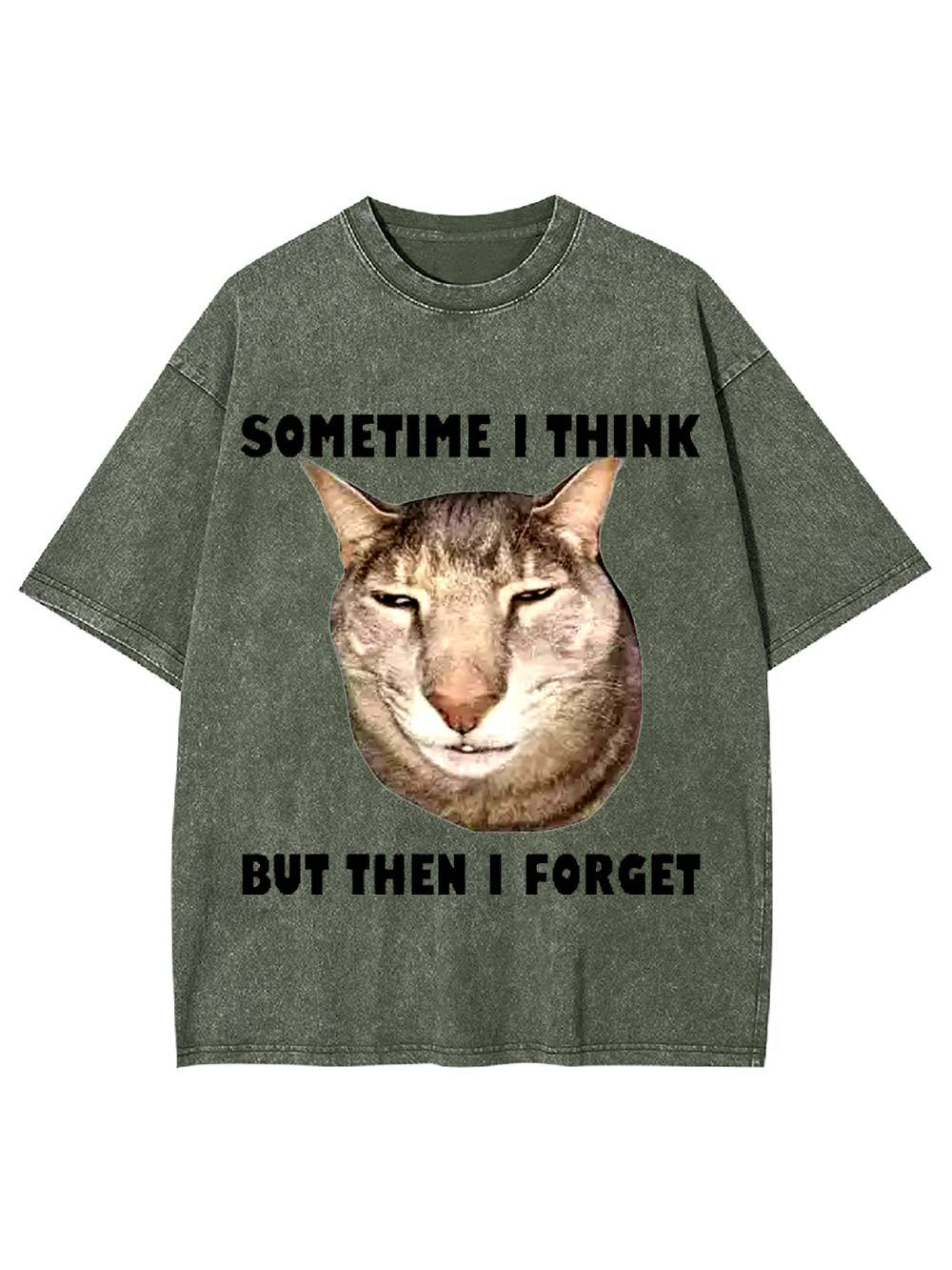 Sometime I Think   But Then I Forget  Washed Tshirt