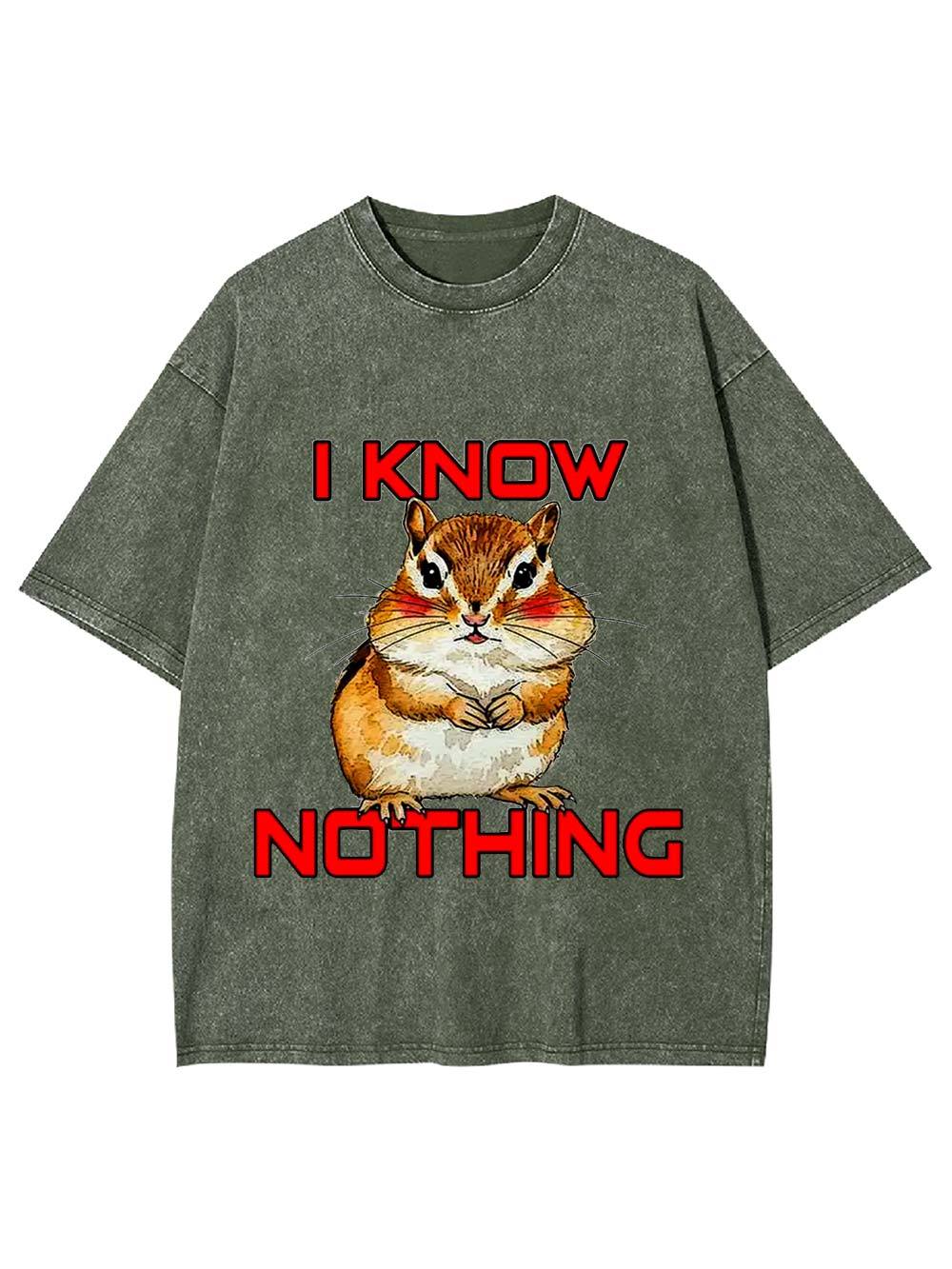 I Know Nothing Washed Tshirt-ClassyOutlaw Sale
