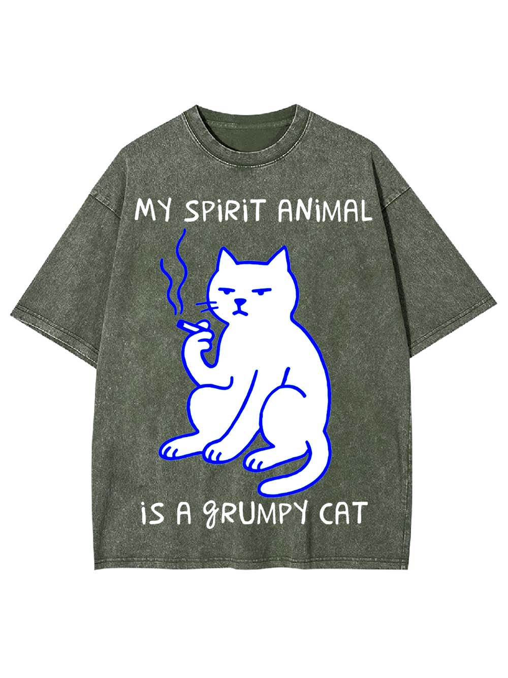 My Spirit Animal Is A Grumpy Cat Washed Tshirt
