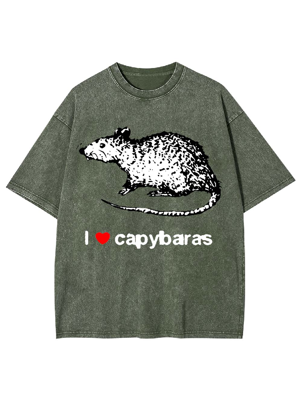 I Love Capybaras Washed Tshirt