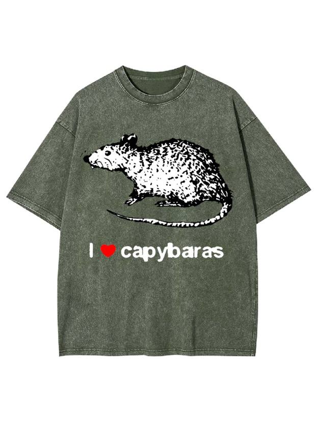 I Love Capybaras Washed Tshirt
