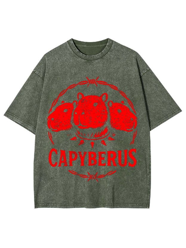Capyberus Washed Tshirt