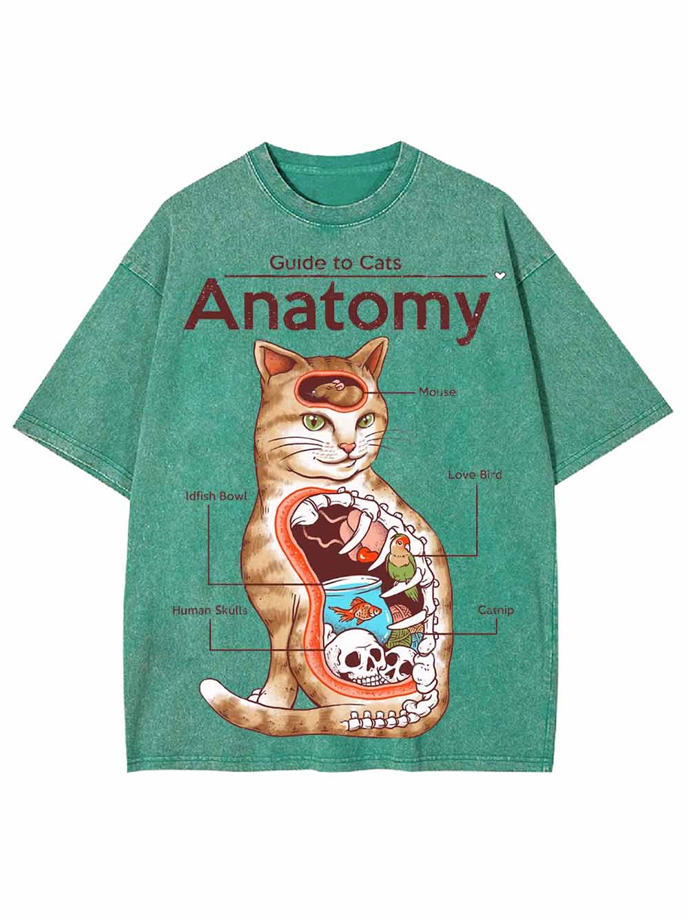 Anatomy Washed Tshirt