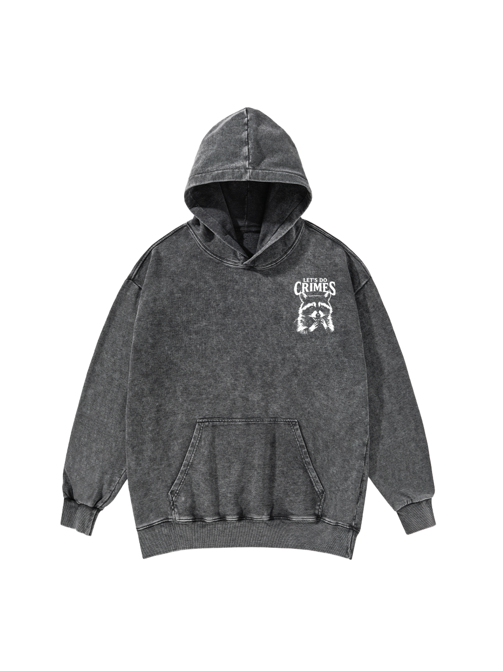 CRIMINAL RACCOON PLANS WASHED HOODIE