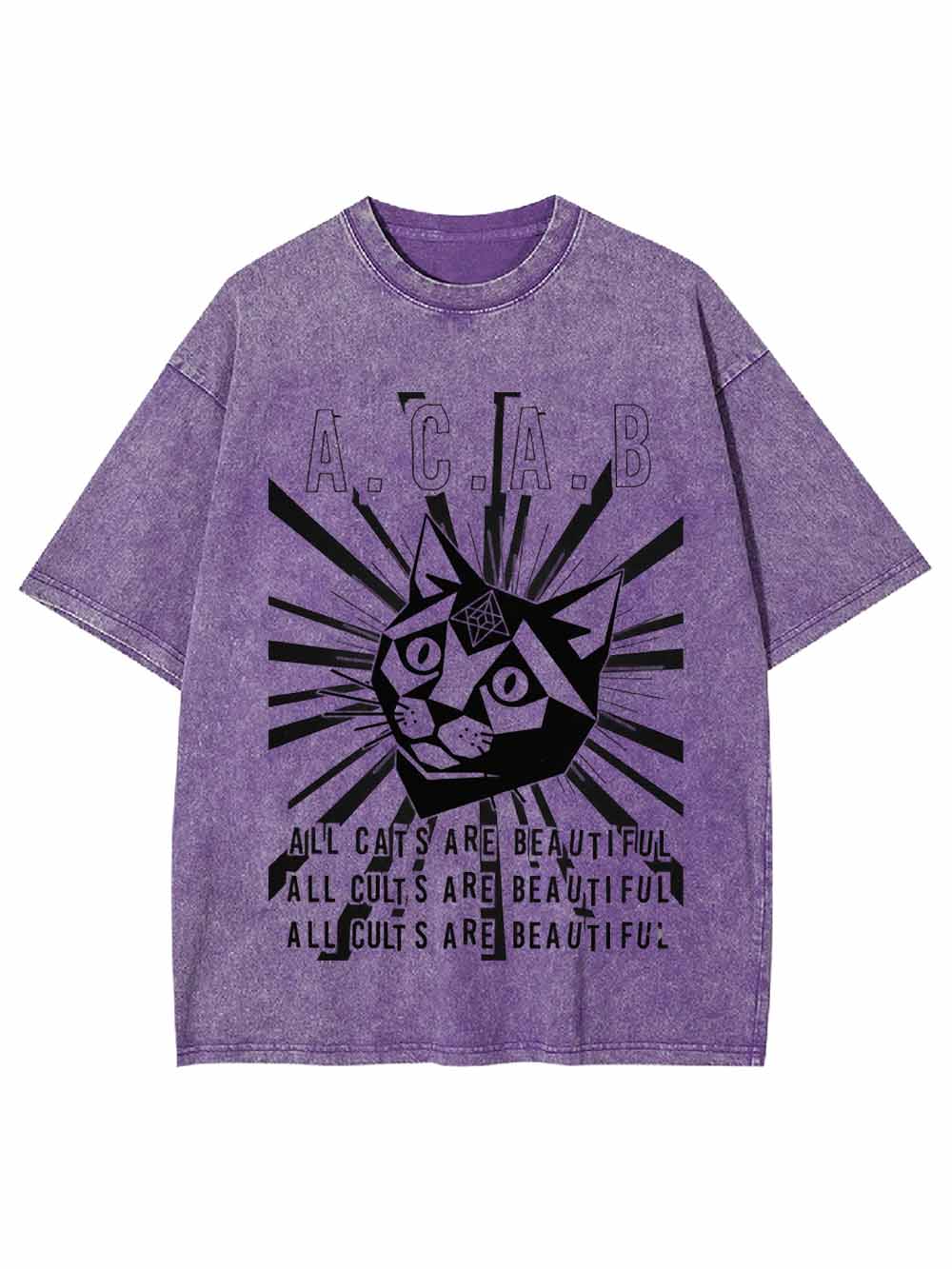 All Cats Are Beautiful Washed Tshirt