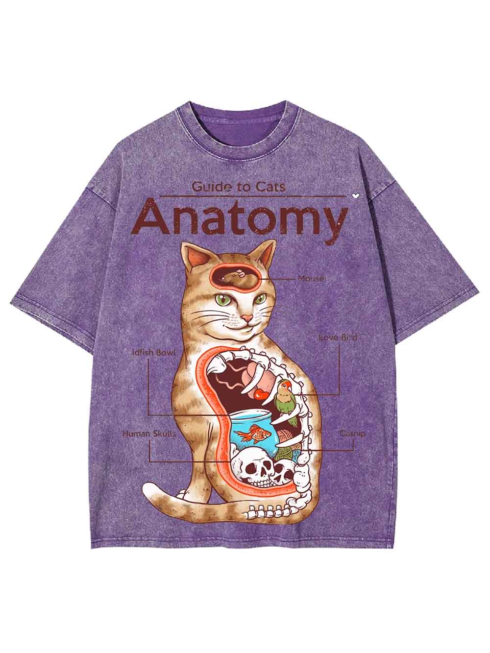 Anatomy Washed Tshirt