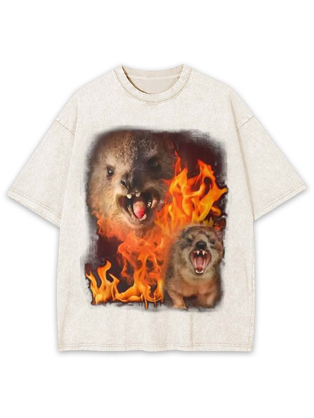 Fury in Flames Washed Tshirt