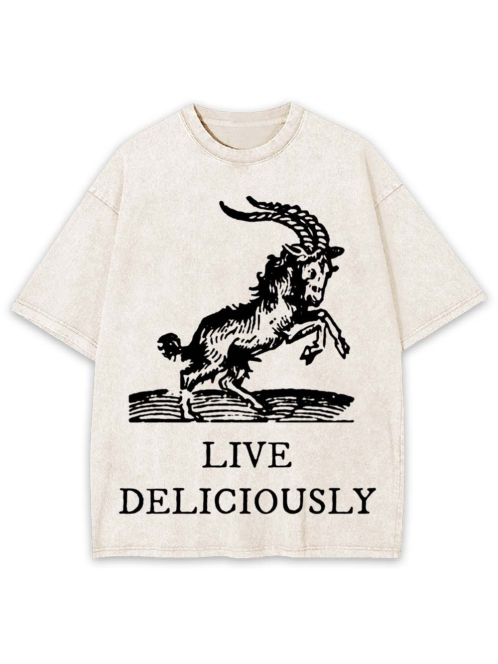 Live Deliciously Washed Tshirt