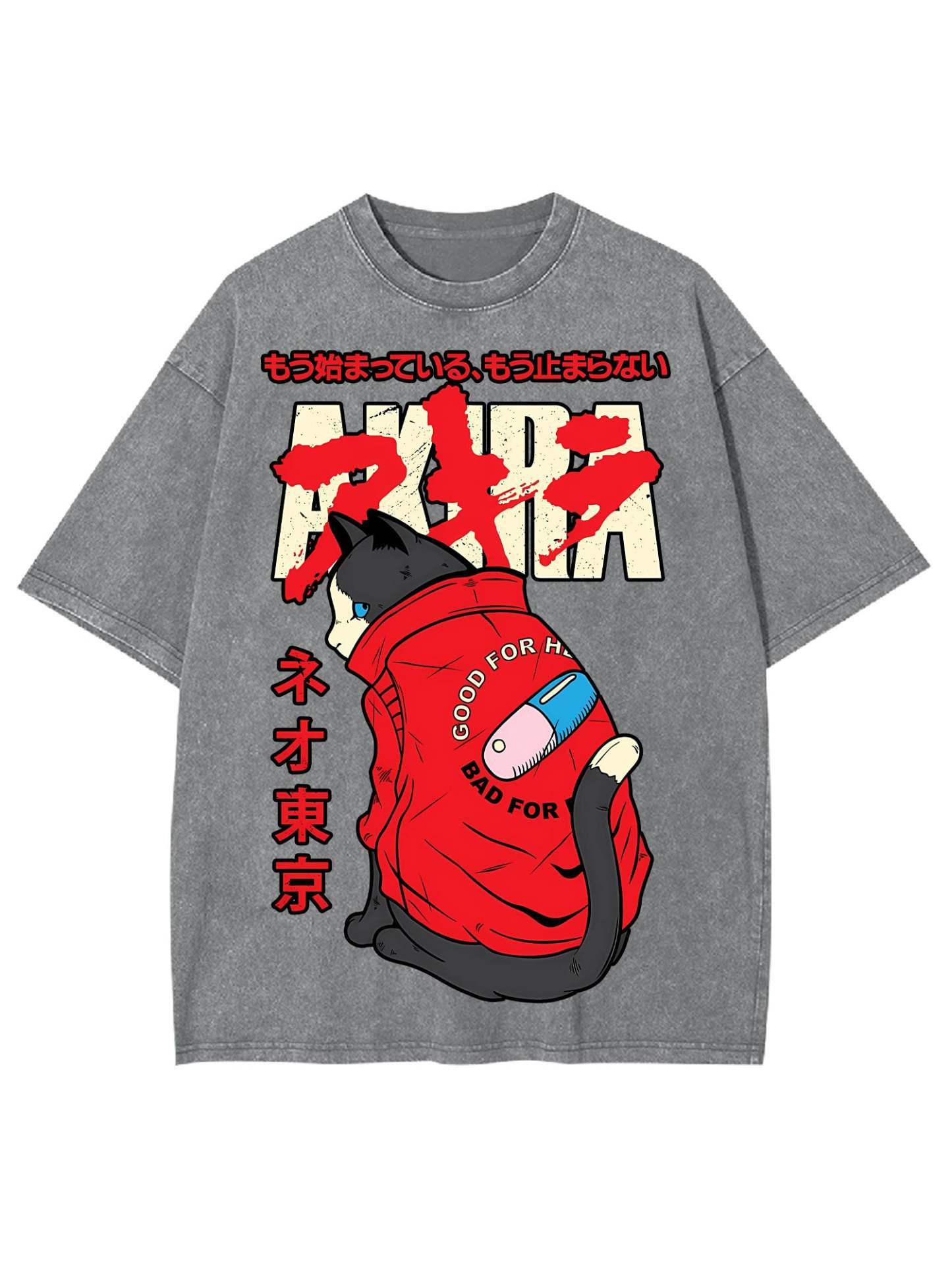 Akira Washed Tshirt