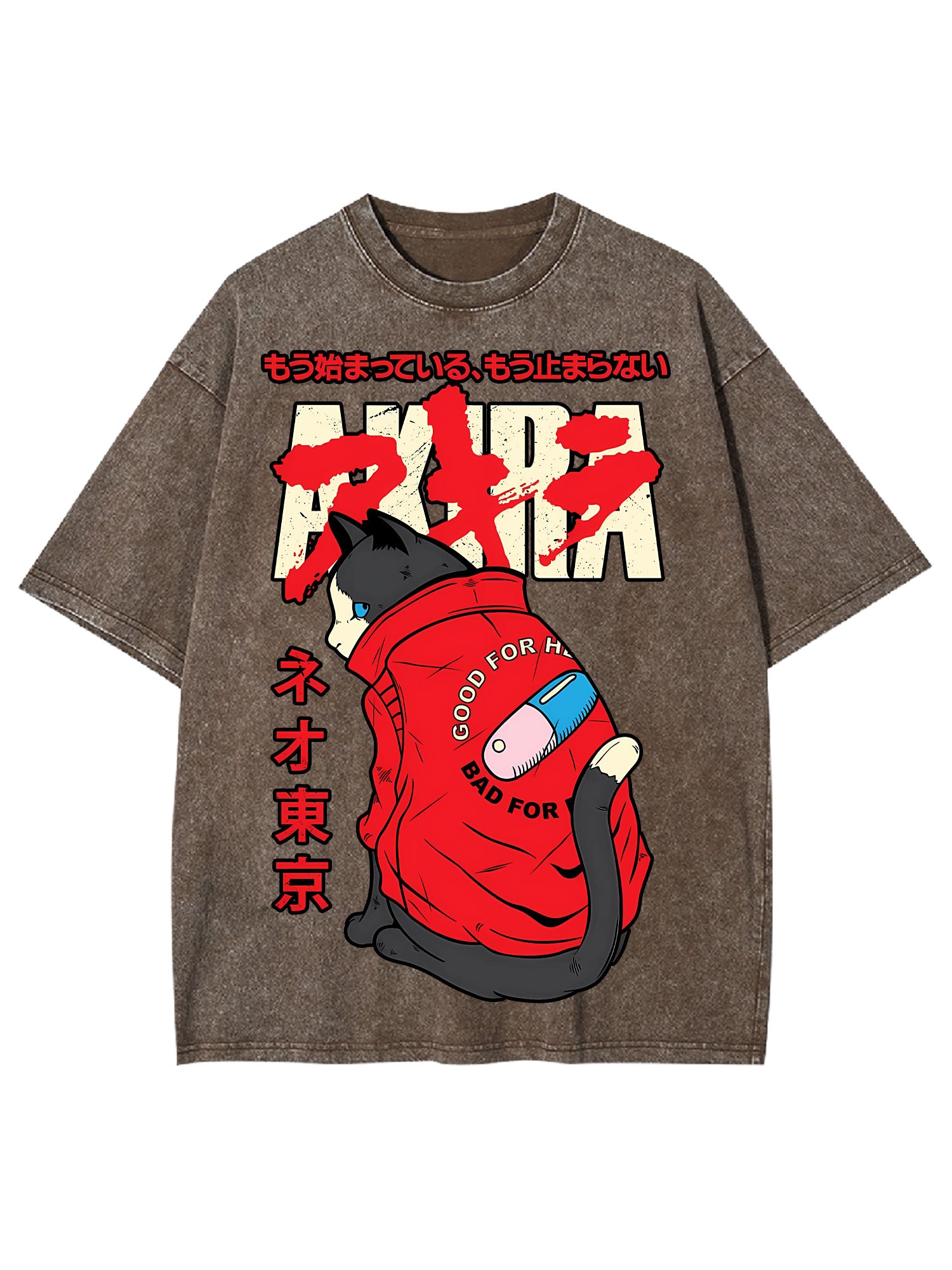 Akira Washed Tshirt