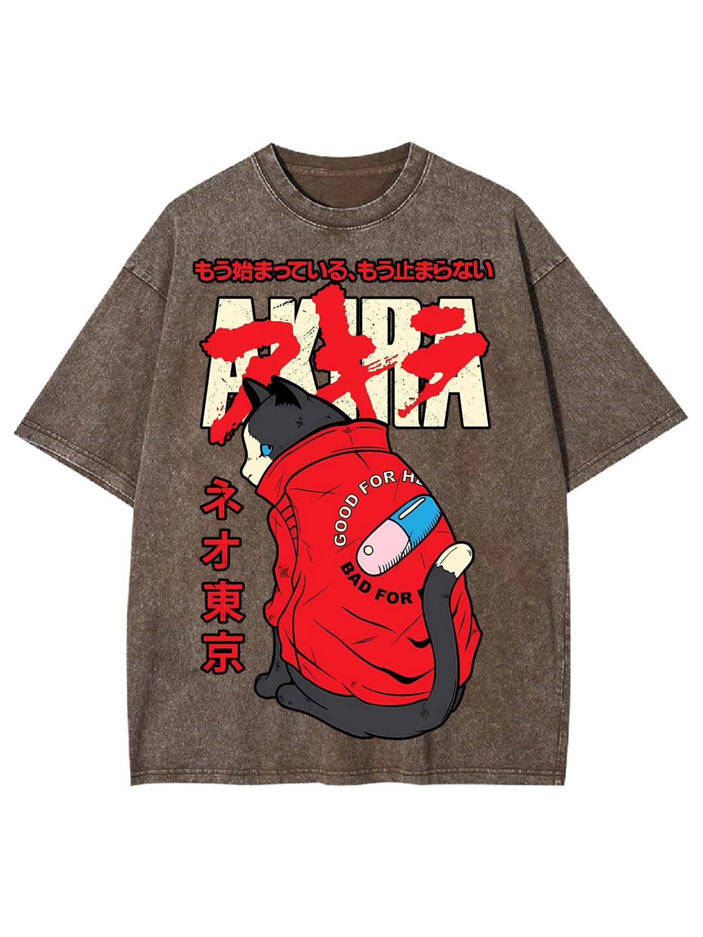 Akira Washed Tshirt