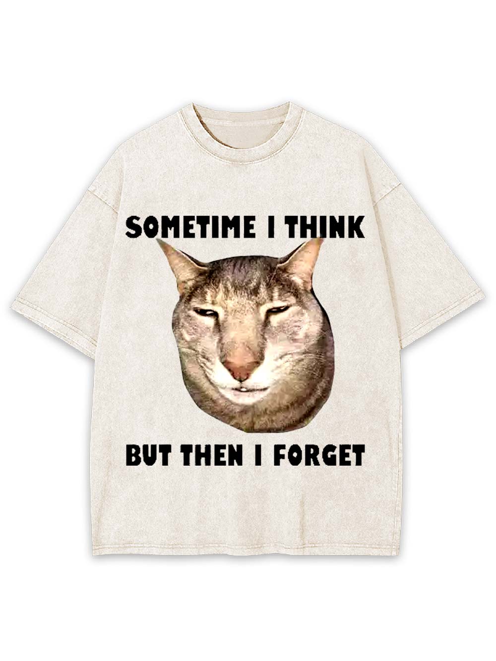 Sometime I Think   But Then I Forget  Washed Tshirt