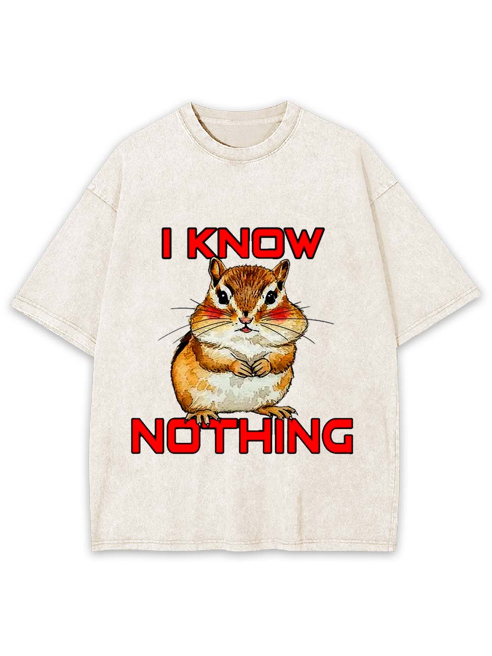 I Know Nothing Washed Tshirt