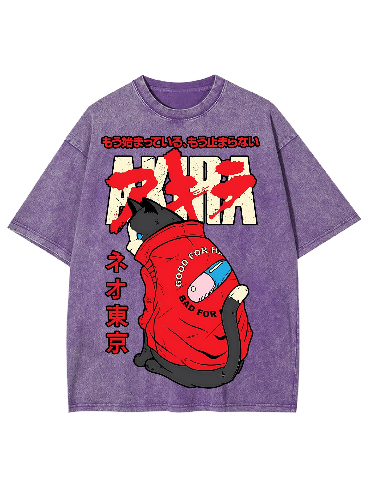 Akira Washed Tshirt
