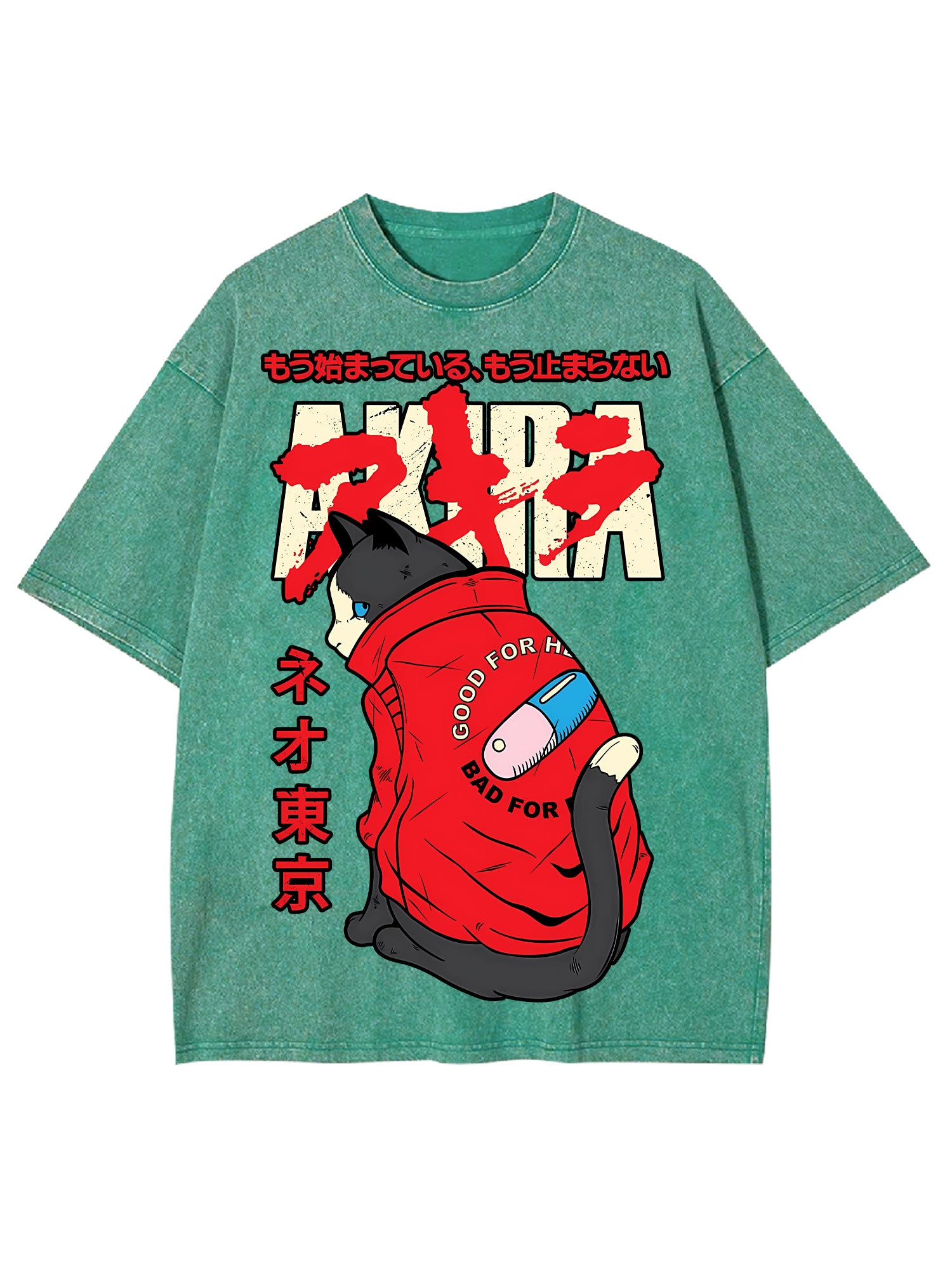 Akira Washed Tshirt