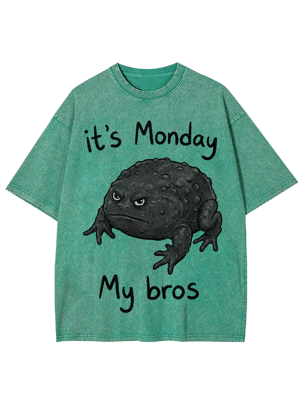 It's Monday My bros Washed Tshirt