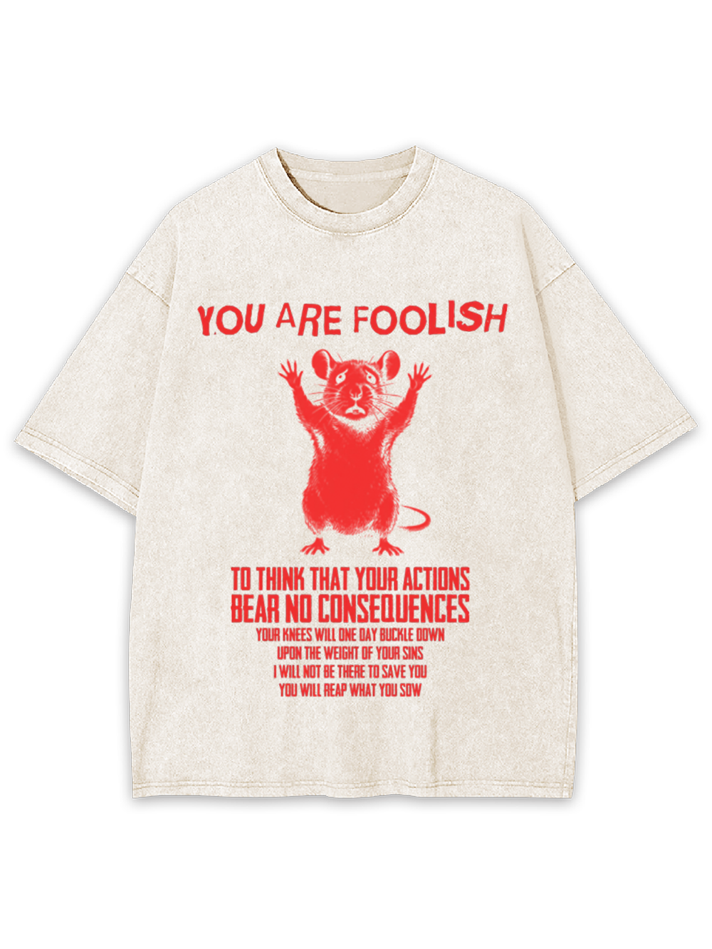 Echo of Consequence Washed Tshirt