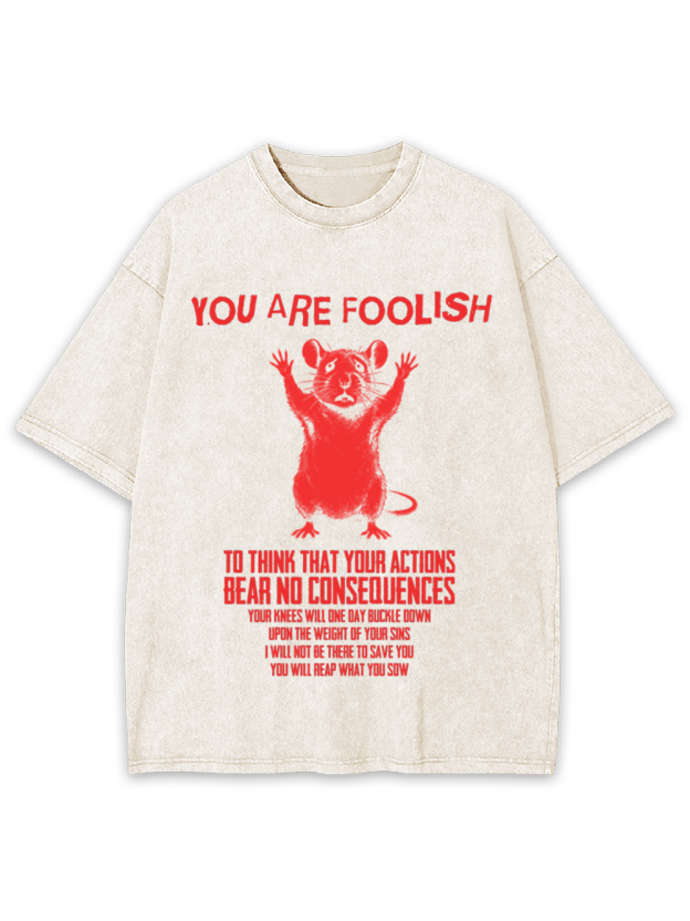 Echo of Consequence Washed Tshirt