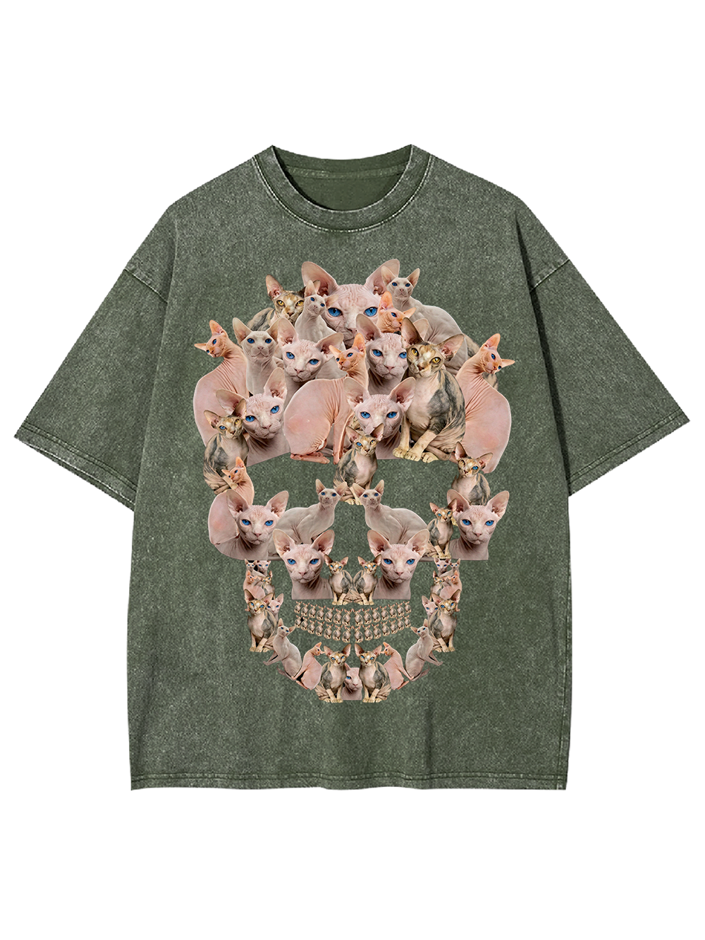 Feline Skull Society Washed Tshirt