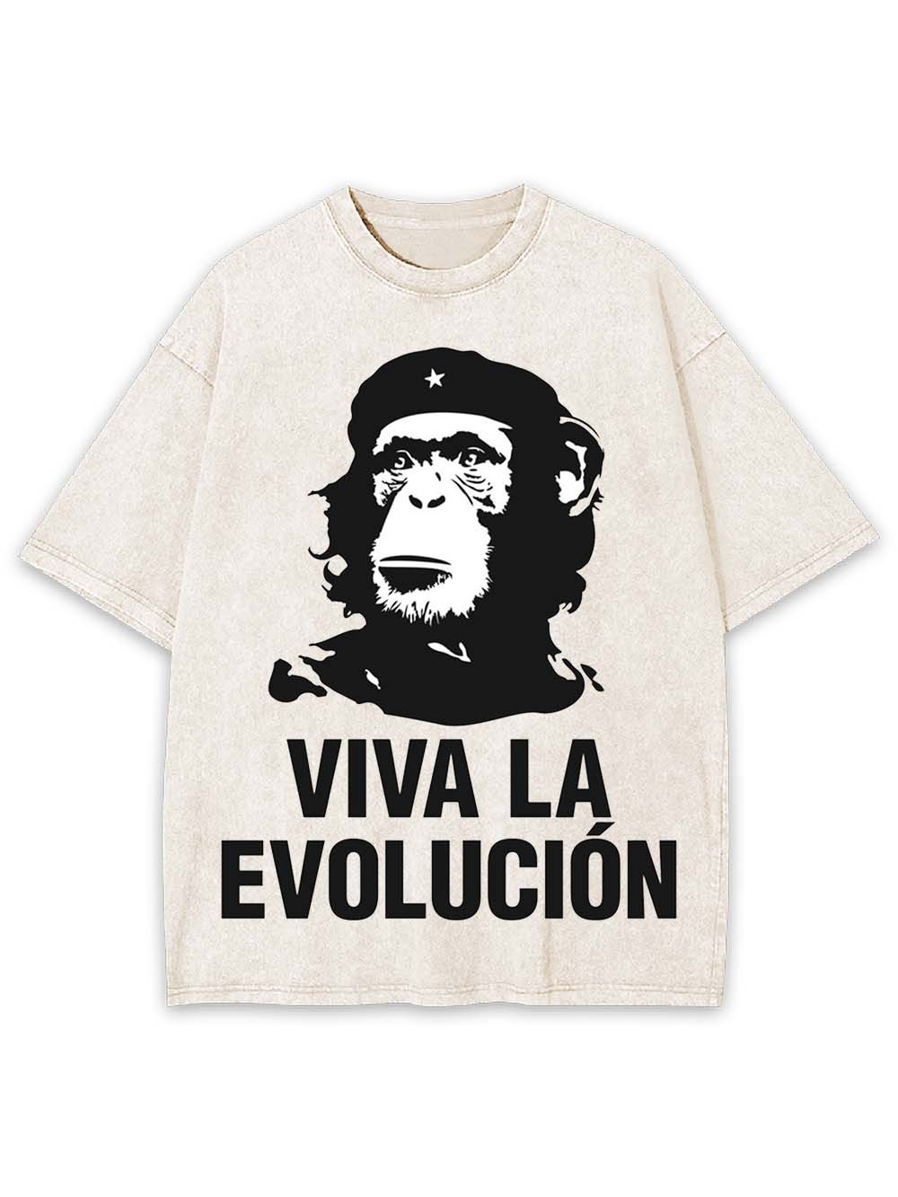Viva La Evolucion Washed Tshirt