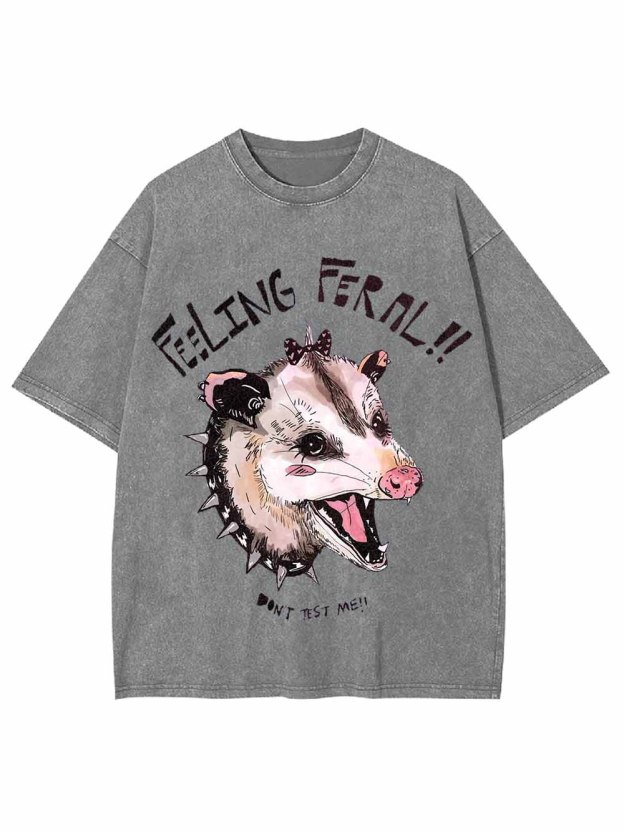 FEELING  FEROCIOUS WASHED TSHIRT