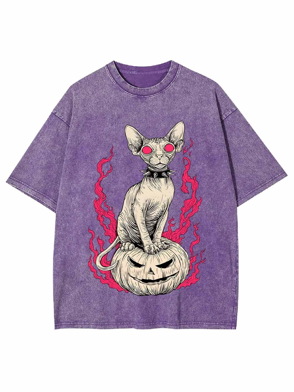 Hairless Cat Pumpkin Flame Washed Tshirt